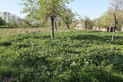 Продаётся дом в отличном состоянии