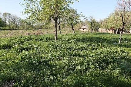 Продаётся дом в отличном состоянии