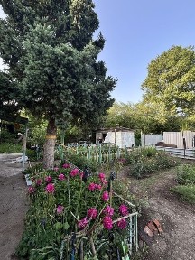 Продам дом 3 комнаты (больша площадь)