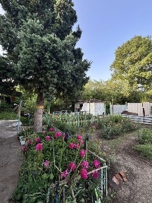 Продам дом 3 комнаты (больша площадь)