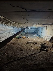 Подвал сдается для аренды