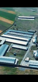 Продается действующий животноводческий комплекс (готовый бизнес)