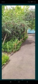 Недвижимость котедж
