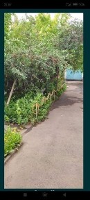 Недвижимость котедж