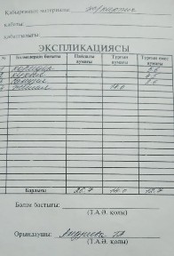 Туркестанская область, Сауран