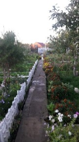 Продам дачный уголок 10 соток