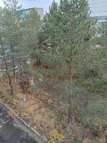 Сдам по суточно квартиру