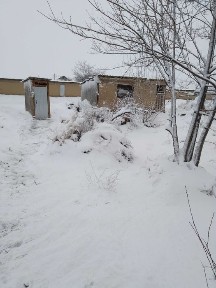 Срочно торг! Г. Сарыагаш, ул. Туркестанская, 142