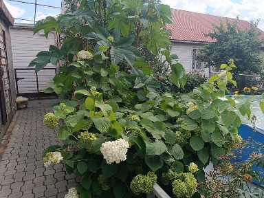 Павлодарская область, Экибастуз