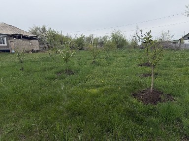 6 комнатный дом, 20 сот. Земли