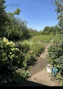 Продам дачный участок с домиком