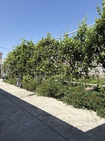 Арайда. Дом 90 м² на участке 8 соток | Газ, центр. вода, баня, сад