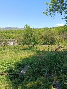 Продам дачу горный ульбинке