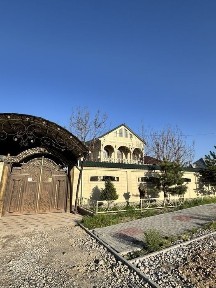 Туркестанская область, Сауран