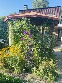 Продам дачу. Алтайский строитель ( котлованы)