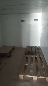 Сдается холодильная/ морозильная камера в аренду