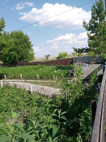 Продается дом. С урожаем
