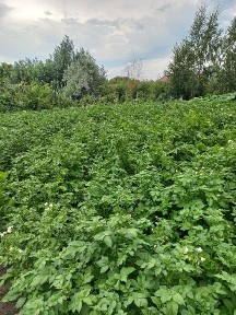 Продаётся дом. п.Федоровка, ул. Набережная, в районе стадиона