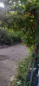 Продается дом с земельным участком 9.7 сотки в Атырау рядом с рекой