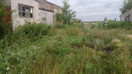 Северо-Казахстанская область, Петропавловск