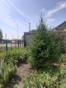 Продается дом в тихом хорошем районе в шаговой доступности