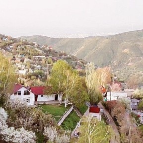 Алматинская область, Кыргауылды