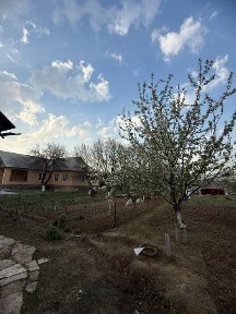 Акбастау ауылында трассанын бойынша уй сатылады