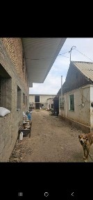 Продам дом для разведения хозяйства.