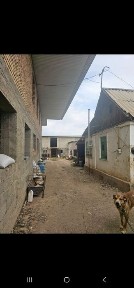 Продам дом для разведения хозяйства.
