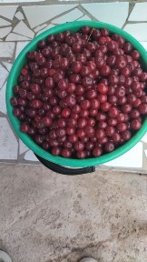 Срочно! Кирпичный дом 2015 г. с газом. Заезжай и жив