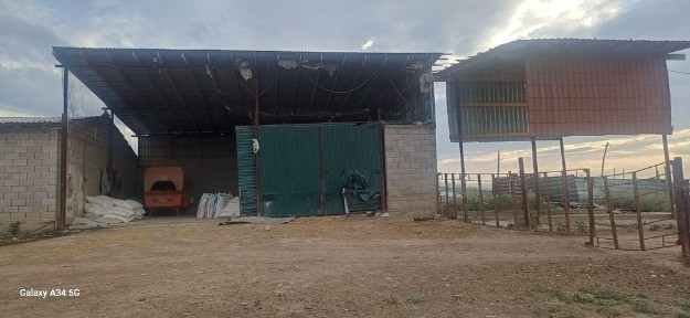Откорм сатылады 100