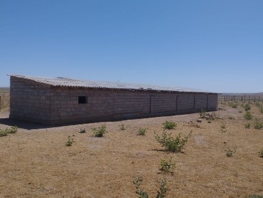 Кой кора сатылаты Уй сатылады