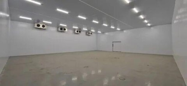 Сдадим в аренду морозильные холодильные склады