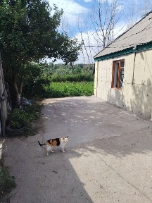 Продам дачу Зимний вариант