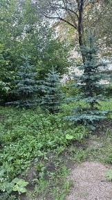 Продам 2 комн. квартиру в Парковой зоне.