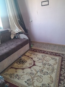 Квартира аренда.