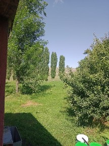 Продается на даче Горняк дача болшим участком 8 соток дача в
