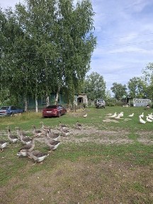 Продам дом в с. Новая шульба