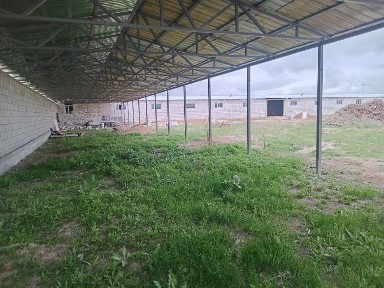 Алматинская область, Ушконыр