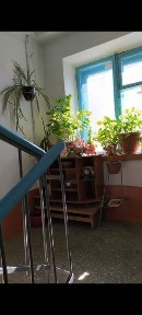 Двухкомнатная квартира в золотом квадрате