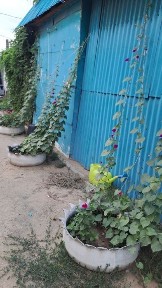 Продам дом новый 2024года постройки, построили для себя, хороший, сухой