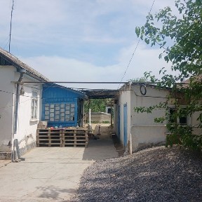 Жетысай каласында уй сатылады центрде