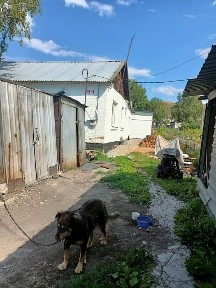 Восточно-Казахстанская область, Ушаново