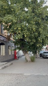 Сдаётся в аренду магазин