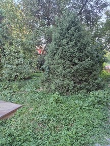 Дом с участком в пригороде