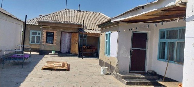 Жамбылская область, Болтирик шешен