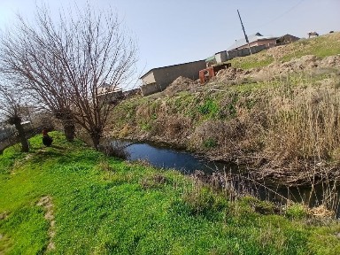 Туркестанская область, Сарыагаш