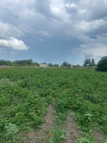 Продается 1/2 двухэтажного кирпичного дома в БОЛЬШОЙ МАЛЫШКЕ