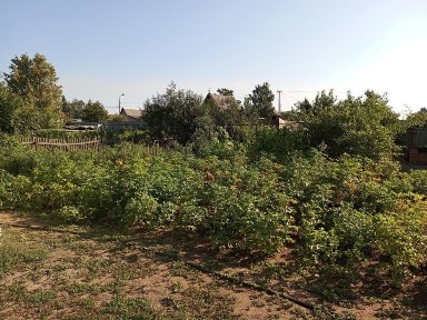 Продаётся уютная дача с домом и доп постройками, сад Реченька