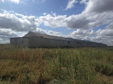 Акмолинская область, Астана, Нура